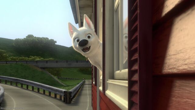 File:Bolt-2-(2008).jpg