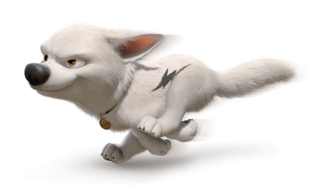File:Bolt run.jpeg