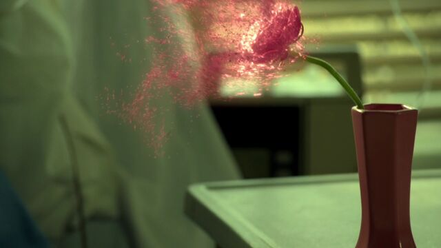 File:Once Upon a Time - 6x17 - Awake - Magic Flower.jpg