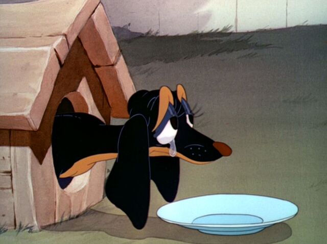 File:Tumblr nfh9wbLBLH1qhcrb0o1 1280.jpg