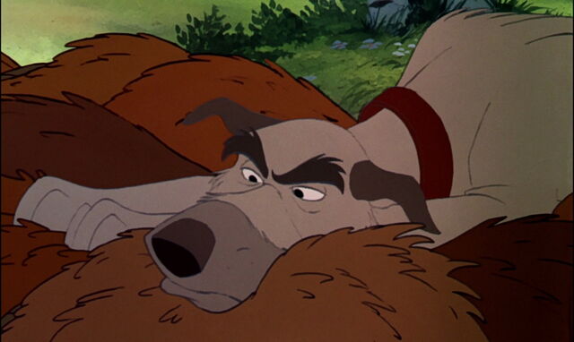 File:Fox-and-the-hound-disneyscreencaps.com-4509.jpg