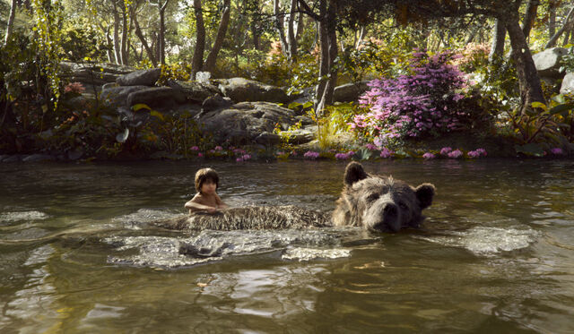 File:Jungle Book 2016 77.jpg