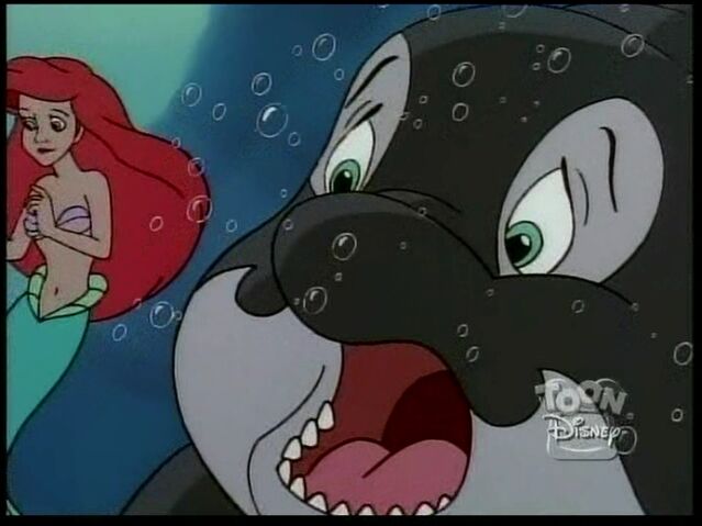 File:Whale101.jpg