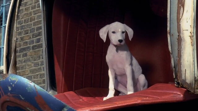 File:102-dalmatians-disneyscreencaps.com-10536.jpg