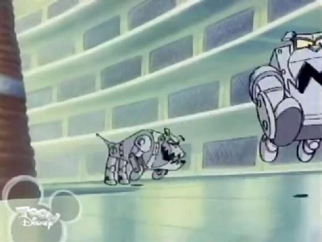File:CNIrobotdogs238.jpg
