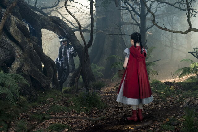 File:Into-the-woods-wolf.jpg