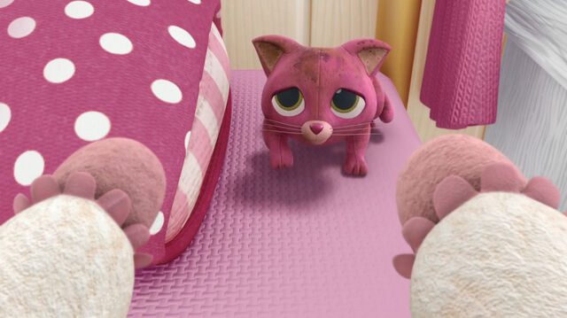 File:Whispers and lambie's paws.jpg