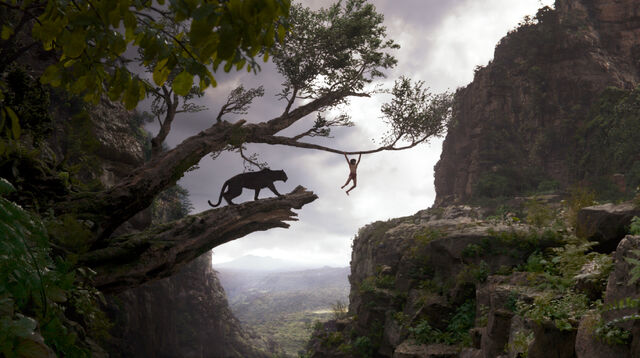 File:Jungle Book 2016 76.jpg