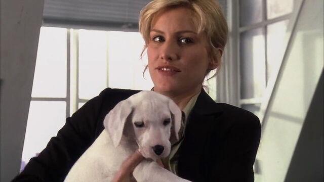 File:102-dalmatians-disneyscreencaps.com-2564.jpg
