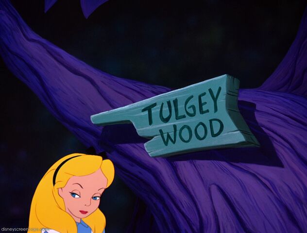 File:Alice-disneyscreencaps.com-5806.jpg