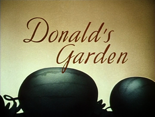 File:Tumblr n23lry1XjF1r3jmn6o1 1280.png