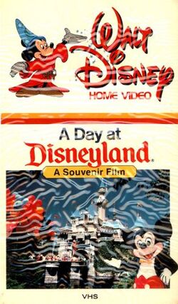 A day at disneyland