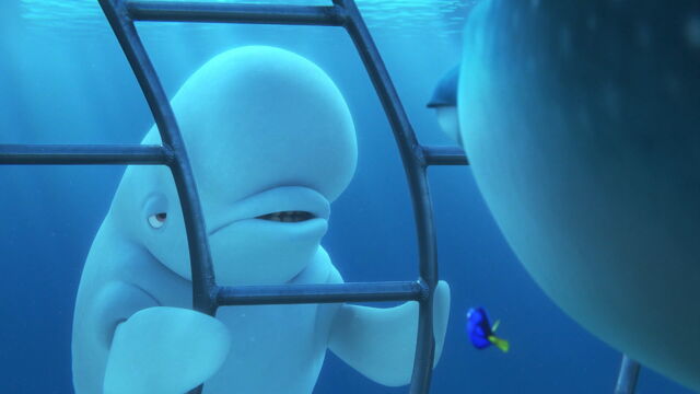 File:Finding-dory-disneyscreencaps.com-3742.jpg