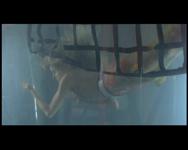 File:Splash9point93MadisonsTailDoesNotRespondWellToCaptivityAndDespairAndStartsToFlake.png