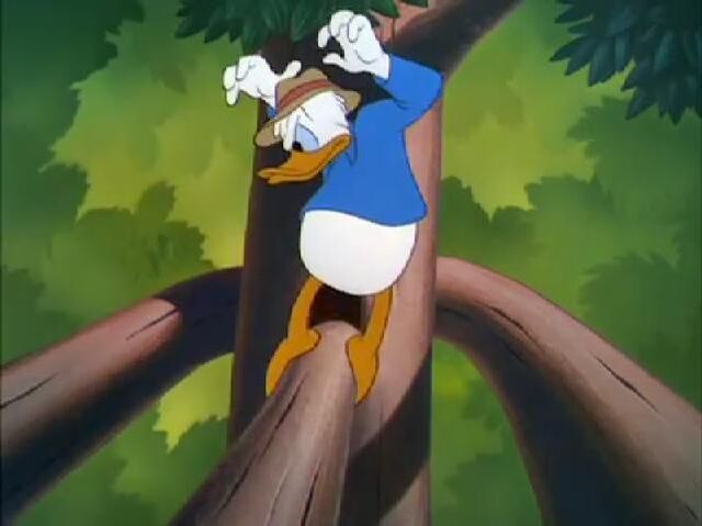 File:Donald Duck - Out On A Limb 195021.jpg