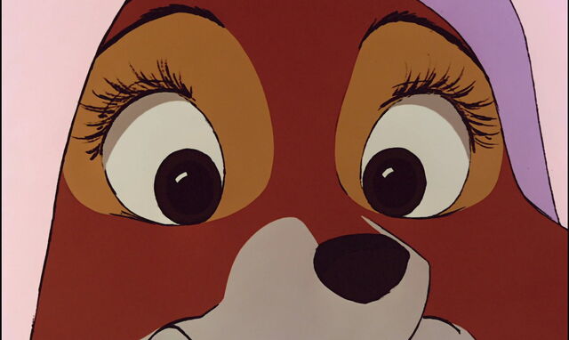 File:Robin-hood-1080p-disneyscreencaps.com-4239.jpg