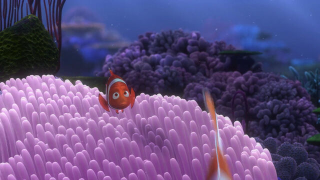 File:Finding-nemo-disneyscreencaps.com-281.jpg