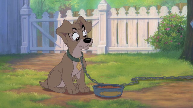 File:Lady-tramp-2-disneyscreencaps.com-823.jpg
