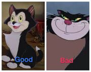 Black meow
