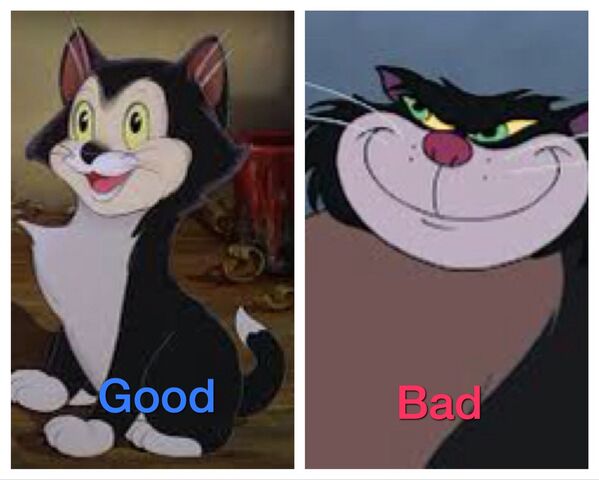 File:Black meow.jpg