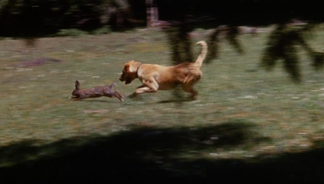File:092-09.png