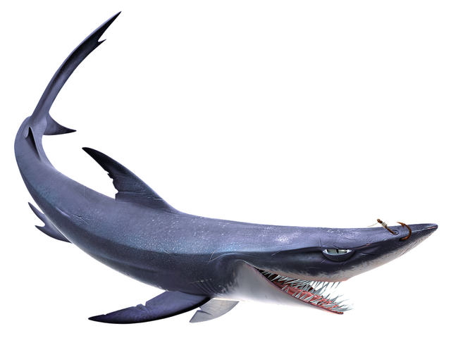 File:Chum-FN.png