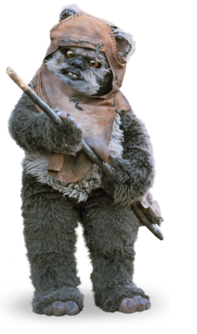 Plik:Wicket2.png