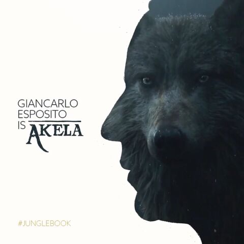 File:Akela Vine Poster.jpeg