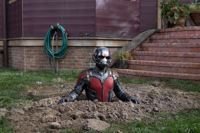 File:Ant-Man (film) 78.jpg