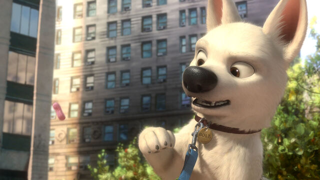 File:5358185496 e4b21f89db b.jpg.jpeg