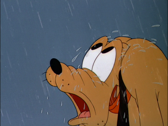 File:Tumblr m2lvcz9lW11r3jmn6o1 1280.png