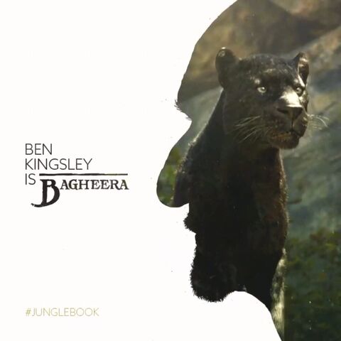 File:Bagheera Vine Poster 02.jpeg