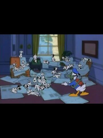 File:Dalmatiansdonald.jpg