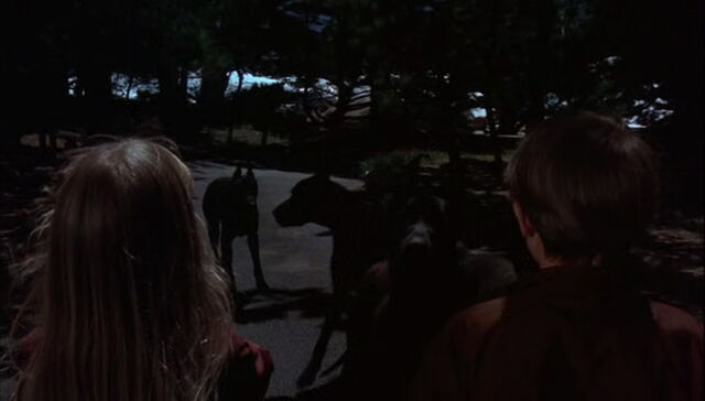 File:Escape-to-witch-mountain-disneyscreencaps.com-4260.jpg