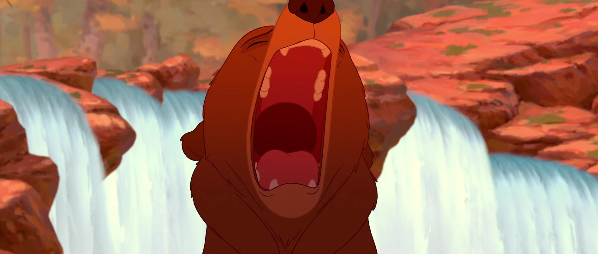 Brother Bear Disney Wiki Fandom