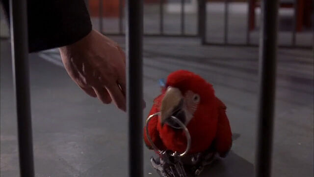 File:102-dalmatians-disneyscreencaps com-7571.jpg