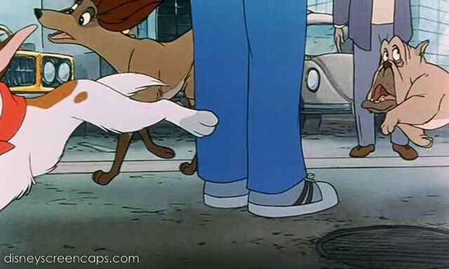 File:Oliver-disneyscreencaps.com-3565.jpg