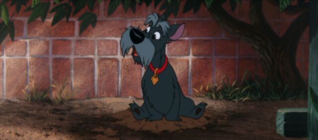 File:Tumblr n7nnb1UNGP1qhcrb0o1 1280.jpg