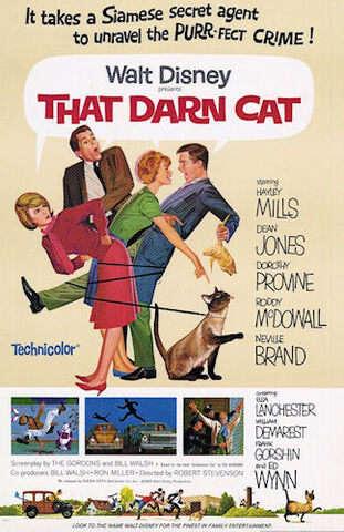 File:That Darn Cat.jpg
