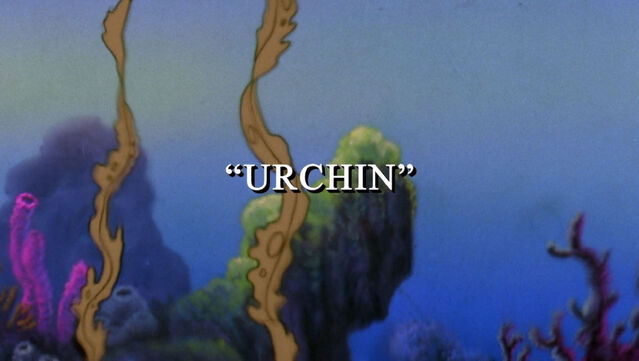 File:Urchin1.jpg
