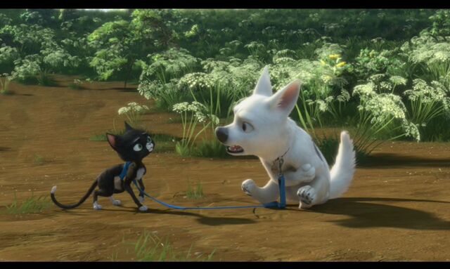 File:Cute-pictures-of-Bolt-and-Mittens-disneys-bolt-5261749-1433-858.jpg