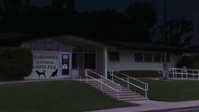 File:PasadenaAnimalShelter.jpg