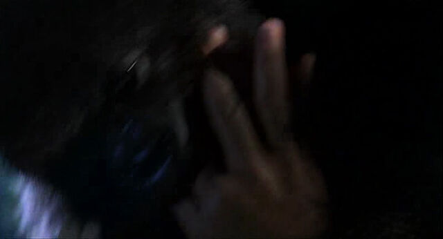 File:Mighty-joe-young-disneyscreencaps.com-706.jpg