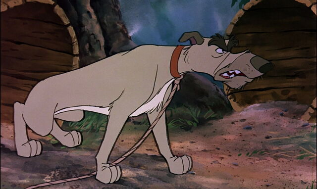 File:Fox-and-the-hound-disneyscreencaps.com-4728.jpg