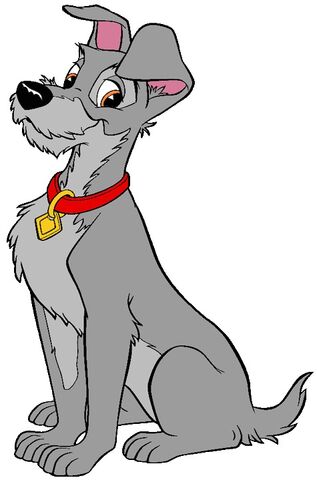 File:He's a gray Tramp.jpg