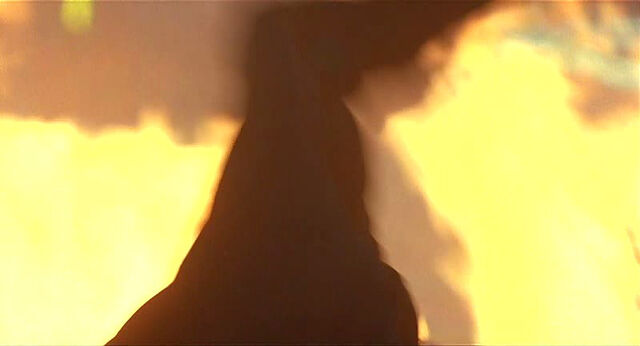 File:Mighty-joe-young-disneyscreencaps.com-11577.jpg