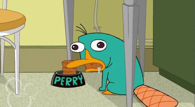 File:Perry.jpg