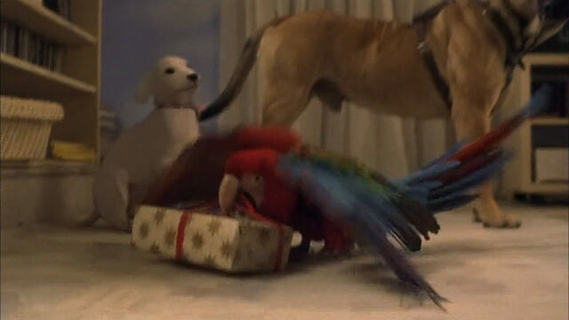 File:102-dalmatians-disneyscreencaps com-4661.jpg
