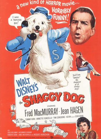 File:Dog2.1.jpg