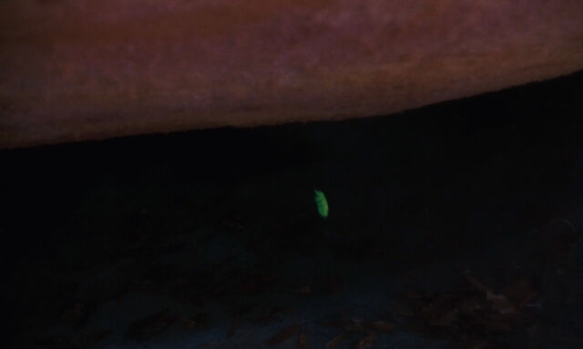 File:James-giant-peach-disneyscreencaps com-2150.jpg